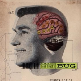 2002 Bug