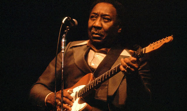 Muddy Waters