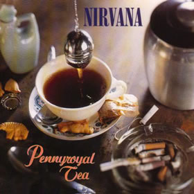 1994 Pennyroyal Tea – CDS
