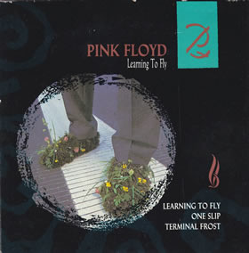 1987 Learning To Fly – CDS