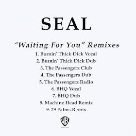2003 Waiting For You -Remixes – CDM